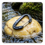 Small 5Pack 8kN Wiregate Carabiner Clip