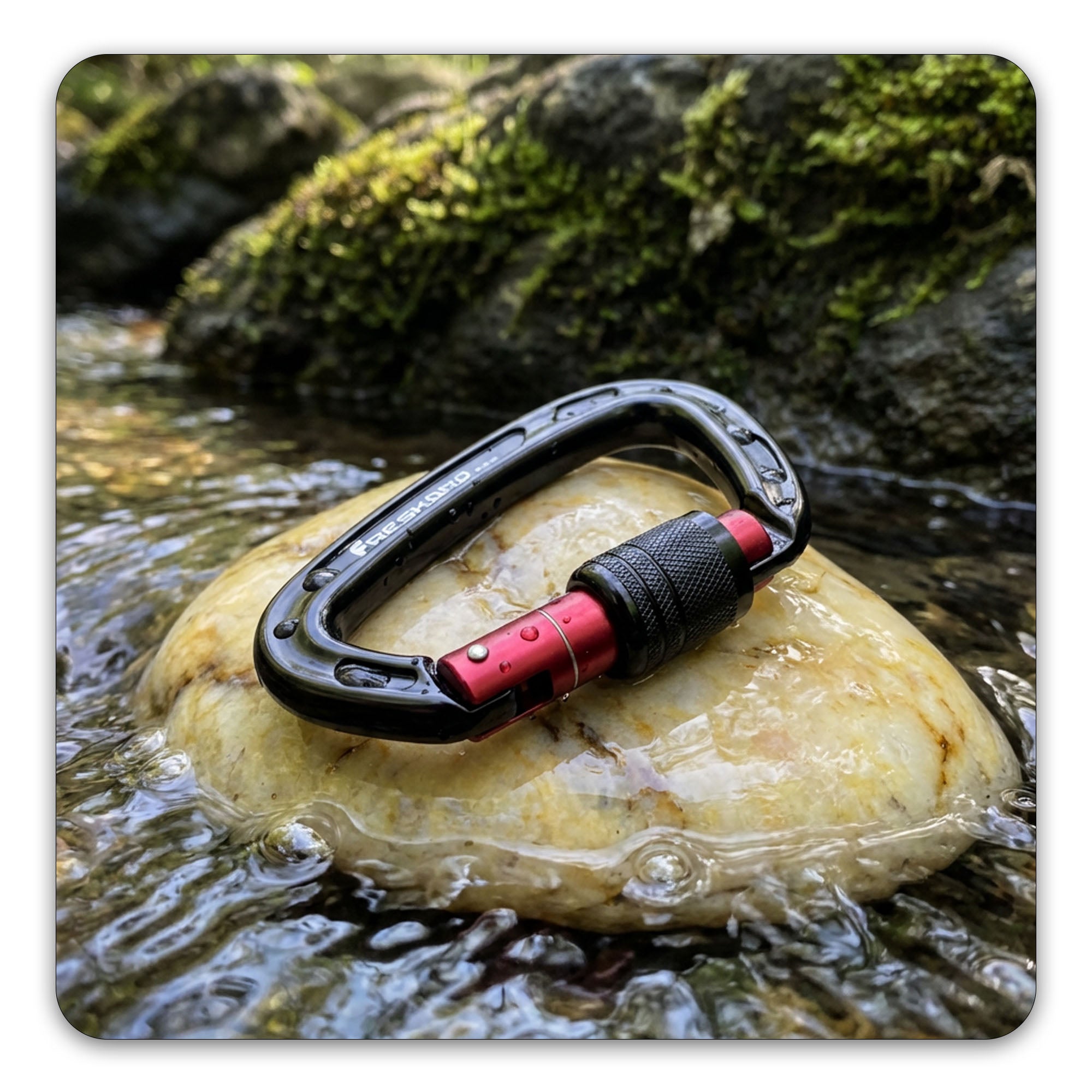 25kN Screw Lock Carabiner Clip climbing Approved