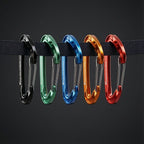Large Multi Pack 15kN Wiregate Carabiner Clip