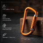 12kN Best Seller Auto Locking Carabiner Clip